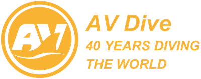 AVDive